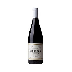 Bourgogne Pinot Noir 2023 Rouge Pierre Gelin - 75cl