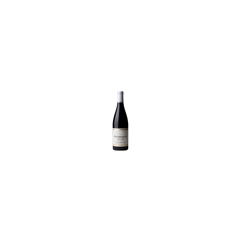 Bourgogne Pinot Noir 2023 Rouge Pierre Gelin - 75cl