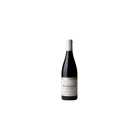 Bourgogne Pinot Noir 2023 Rouge Pierre Gelin - 75cl