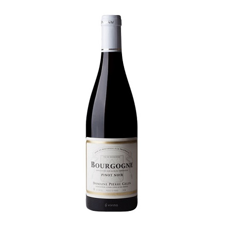 Bourgogne Pinot Noir 2023 Rouge Pierre Gelin - 75cl