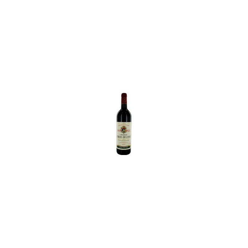 Château Larcis Ducasse 2021 Rouge - 75cl