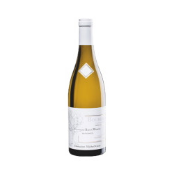 Fontaine St Martin Monopole 2022 Blanc Michel Gros - 75cl